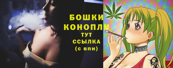 соль курить ск Бородино