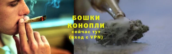 2c-b Богородицк