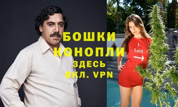 бошки Бронницы