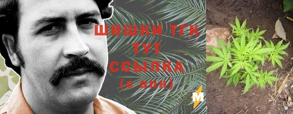 бошки Бронницы