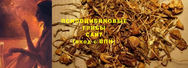 бошки Бронницы