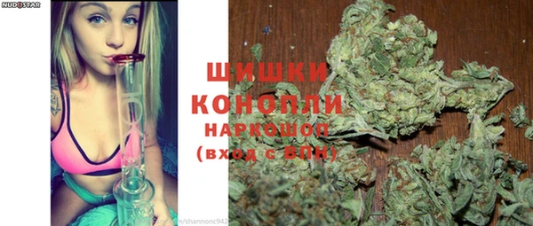 бошки Бронницы