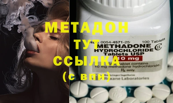 шишки Белокуриха