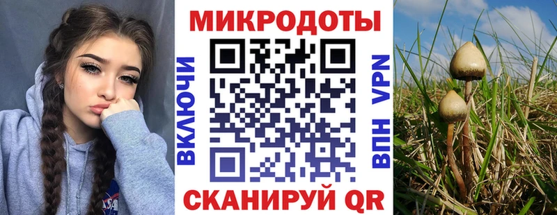Псилоцибиновые грибы Magic Shrooms  Добрянка 